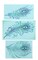 Peacock Feather Cake Stencil Set | C723 by Designer Stencils | Cake Decorating Tools | Baking Stencils for Royal Icing, Airbrush, Dusting Powder | Reusable Plastic Food Grade Stencil for Cakes | Easy to Use & Clean Cake Stencil